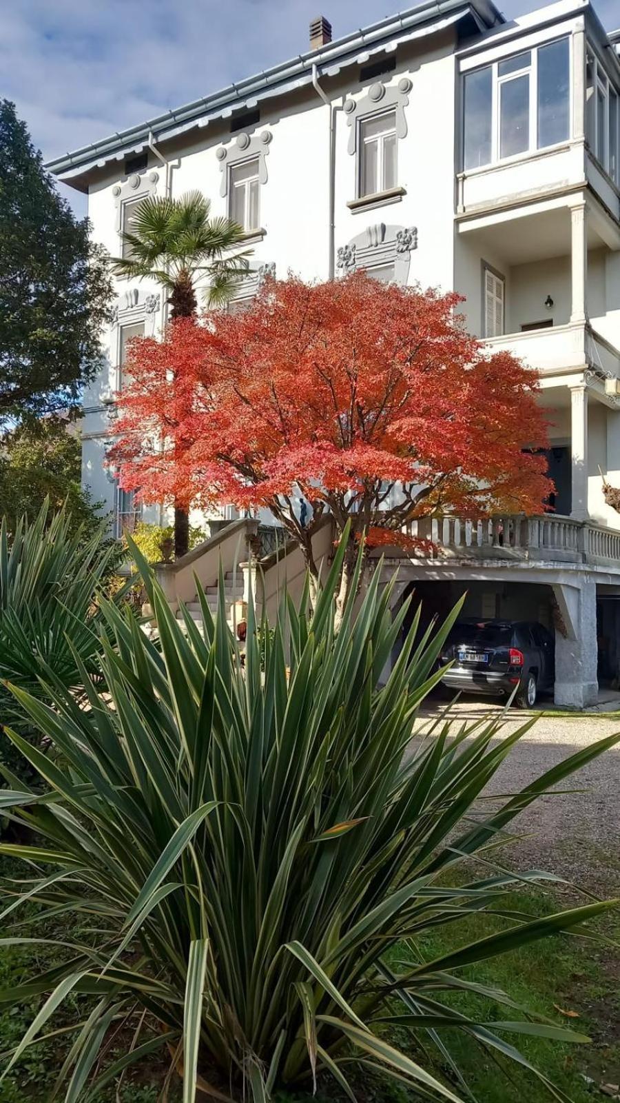 Villa Sapi Arcisate Dış mekan fotoğraf