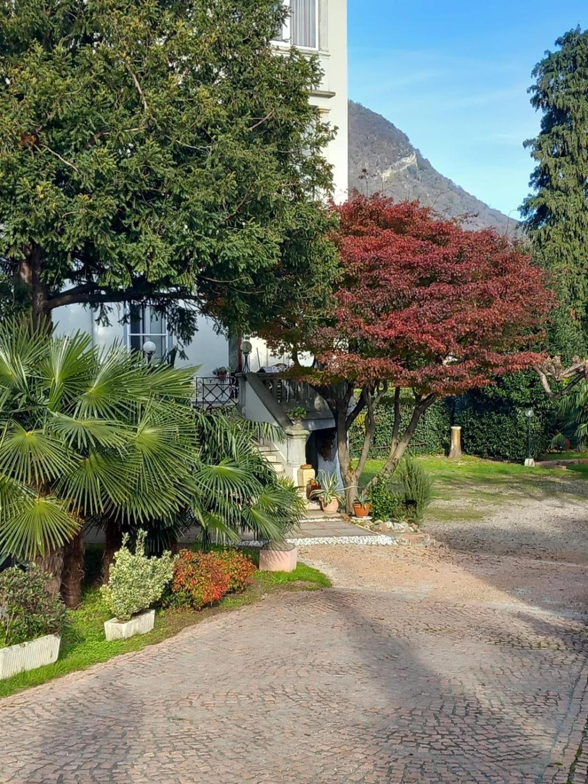 Villa Sapi Arcisate Dış mekan fotoğraf